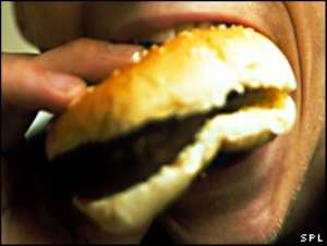 Speed of eating 'key to obesity'